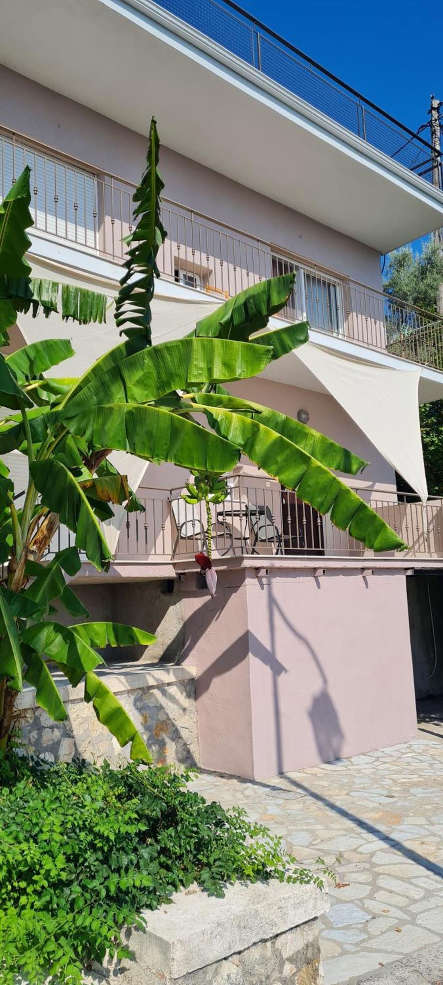 Gerys House Daire Nikiana Dış mekan fotoğraf