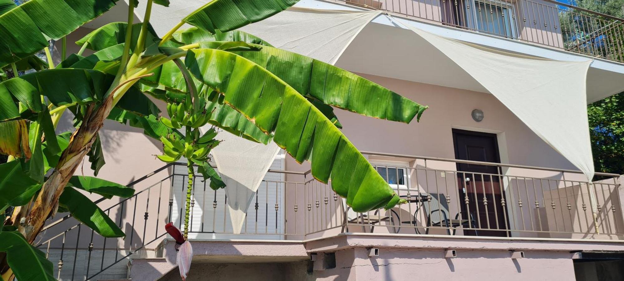 Gerys House Daire Nikiana Dış mekan fotoğraf